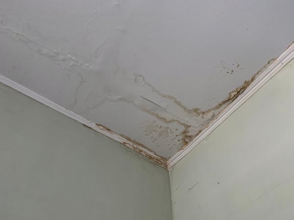 humidade na telha